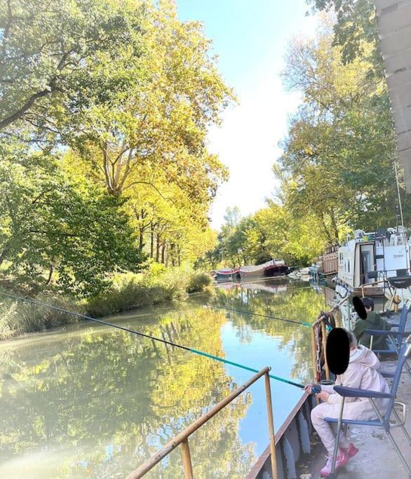 Insolite Peniche Amazonie Canal Du Midi Gardouch Eksteriør billede