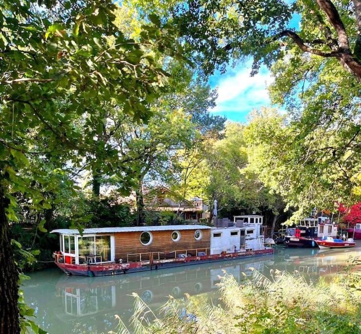 Insolite Peniche Amazonie Canal Du Midi Gardouch Eksteriør billede