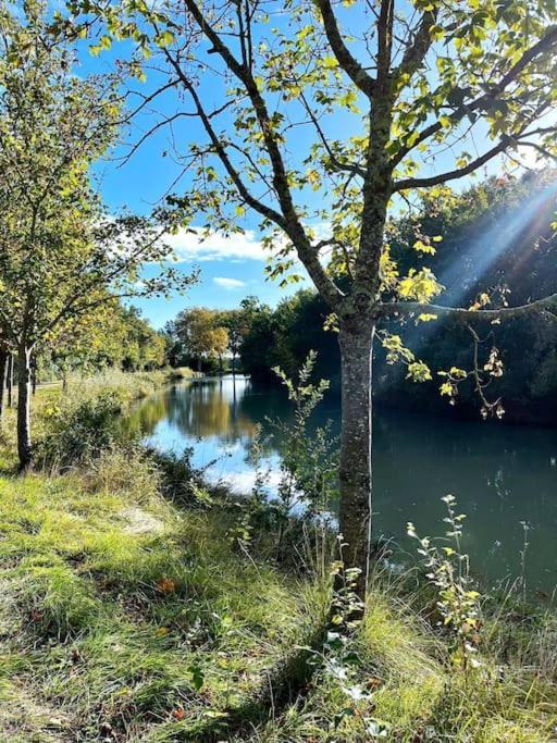Insolite Peniche Amazonie Canal Du Midi Gardouch Eksteriør billede