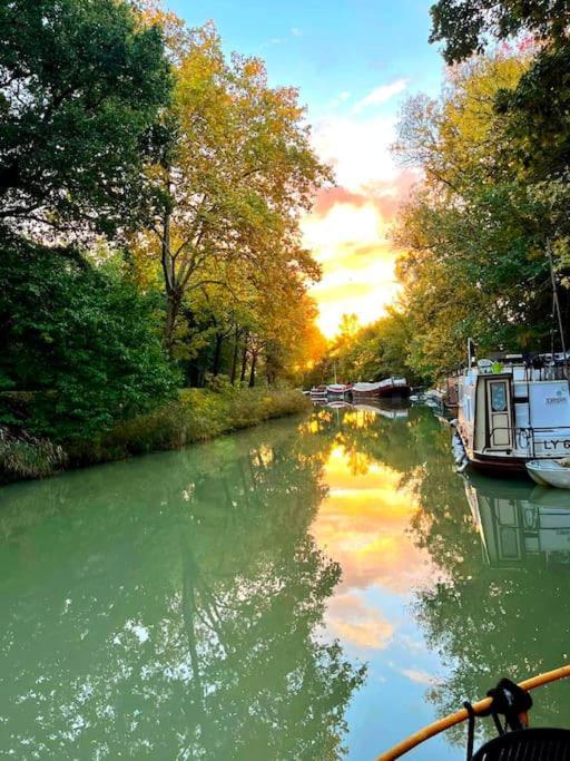 Insolite Peniche Amazonie Canal Du Midi Gardouch Eksteriør billede